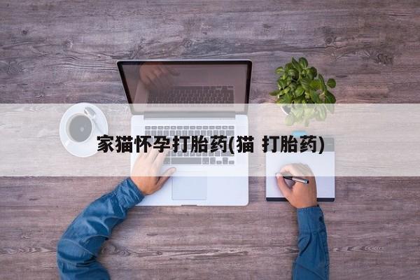 米非米索在线付款家猫怀孕打胎药(猫 打胎药)
